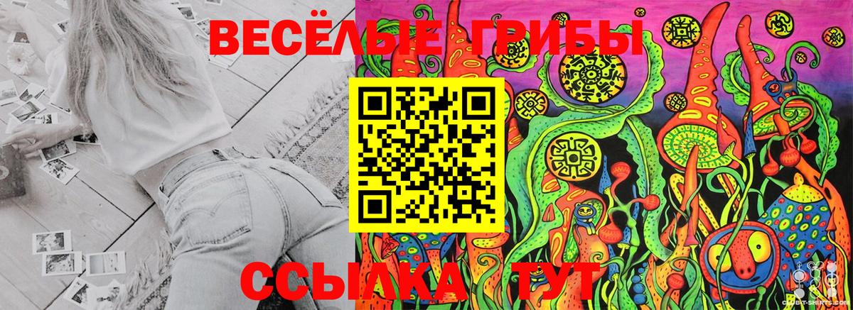 Галлюциногенные грибы Cubensis Кострома