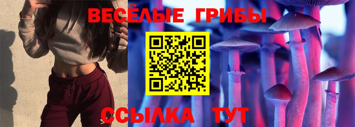 Галлюциногенные грибы прущие грибы  Псилоцибиновые грибы мицелий  Вход с VPN  сколько стоит  Кострома 